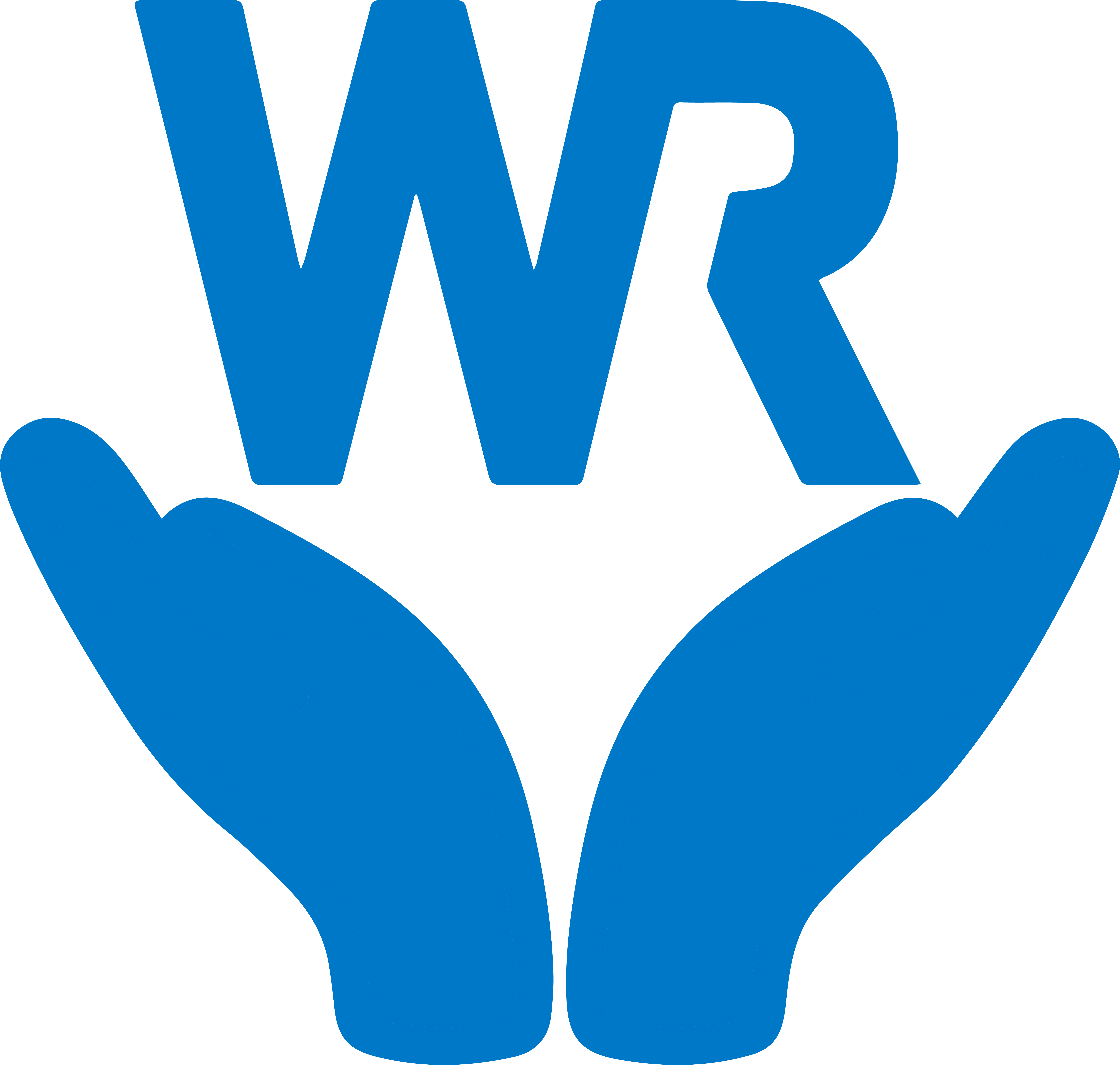 WR products icon